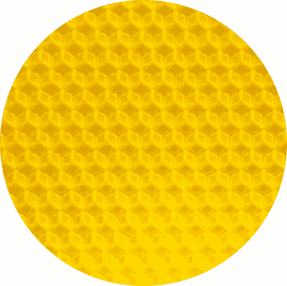 Granulés de Cire d'abeille Blanche, Qualité Cosmétique, Cire d'abeille  Biologique pour le Corps, Baume à Lèvres et Fournitures de Fabrication de  Savon [1000 g] : : Cuisine et Maison